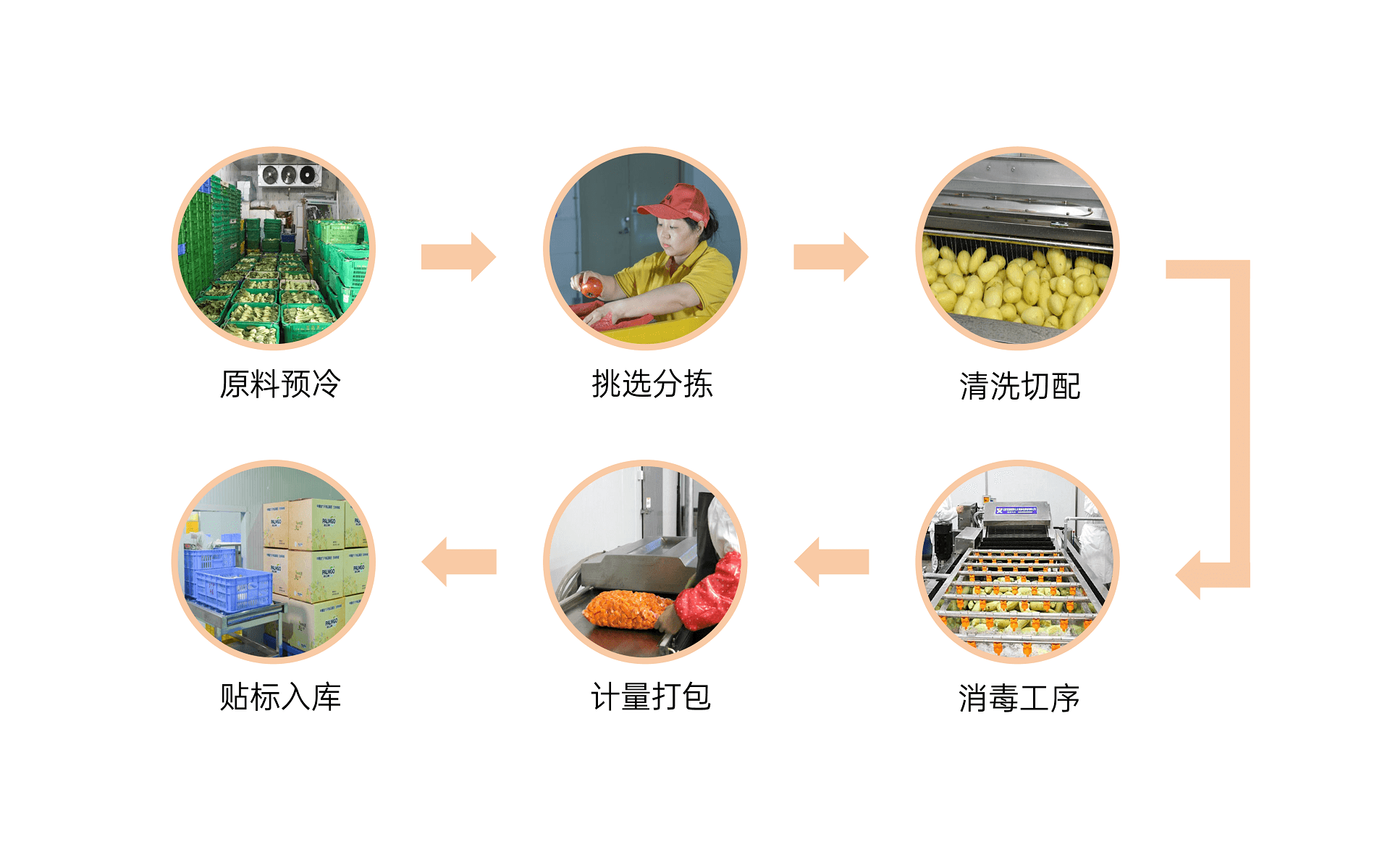 标准化加工流程
